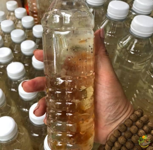Mủ trôm cần giuộc long an