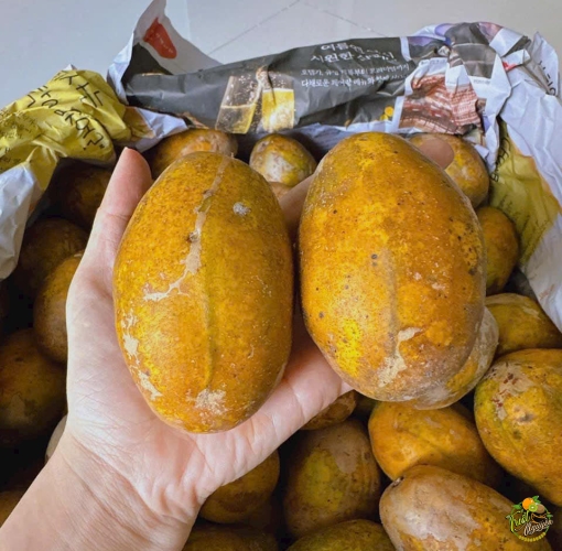 Cóc chín khỏi chê