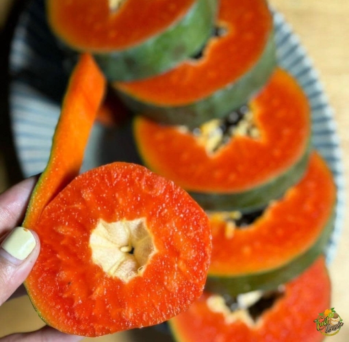 Đu đủ Thái, da xanh ruột đỏ, chuẩn organic