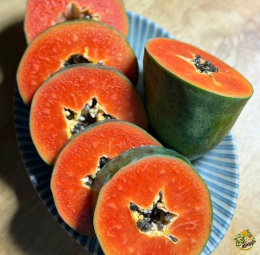 Đu đủ Thái, da xanh ruột đỏ, chuẩn organic