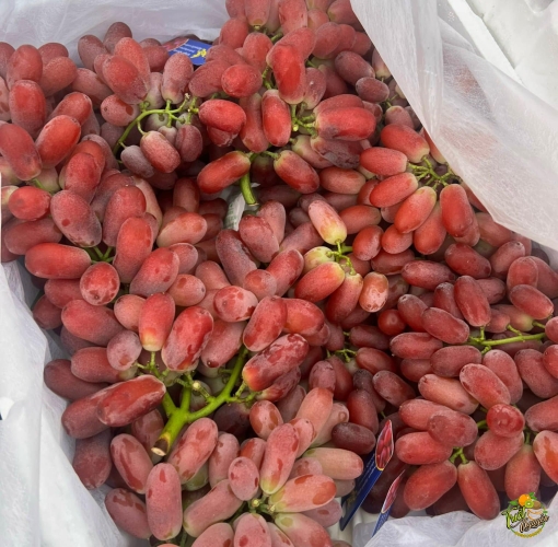 Nho Đỏ