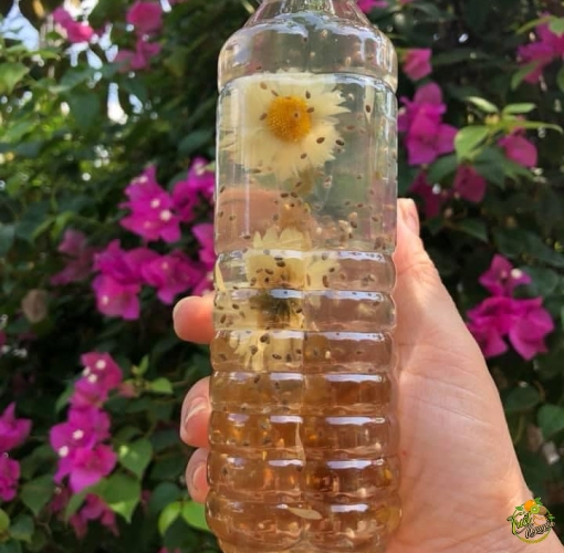 Mủ trôm cần giuộc long an