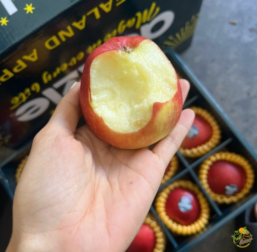 Táo dazz hộp lam quà xinh quá xinh luôn 