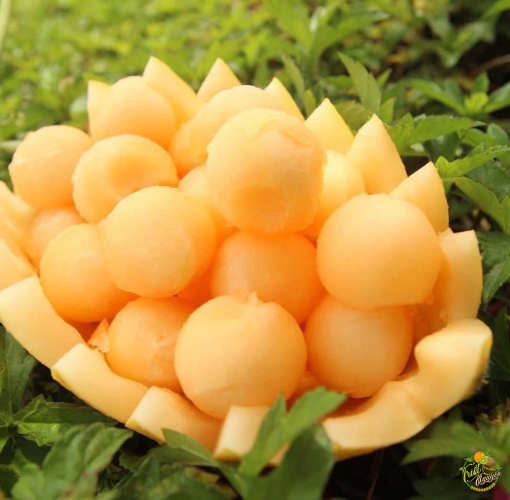 Dưa lưới Huỳnh Long (dưa Hoàng Kim) Giòn - ngọt đậm - ngon