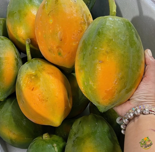 Trái cây đu đủ long an cần giuộc